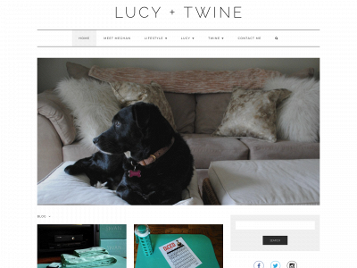 lucyandtwine.com snapshot