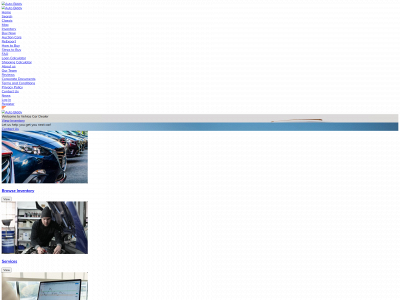 autobiddy.com snapshot