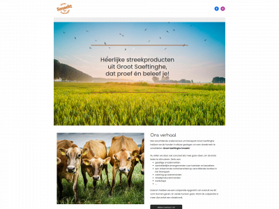 saeftinghesmaekt.com snapshot