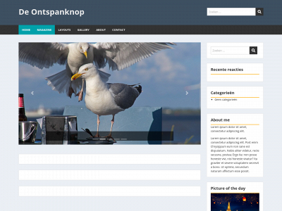ontspanknop.nl snapshot