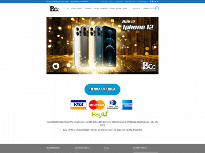 bogotacellc.com snapshot