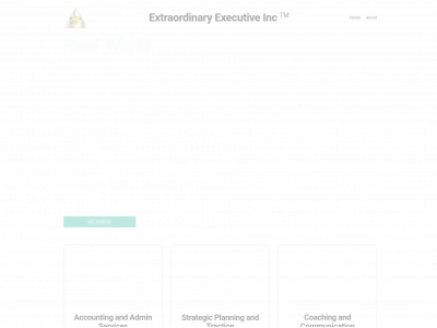 www.extraordinaryexecutive.com snapshot