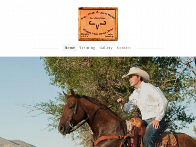websitedynamics.weebly.com snapshot