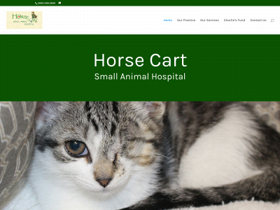 hc-vet.com snapshot