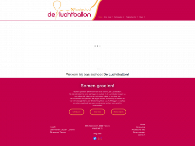 godeluchtballon.be snapshot