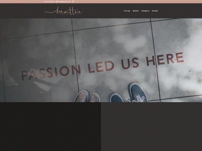 brattse.com snapshot
