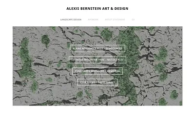 www.alexisbernstein.com snapshot