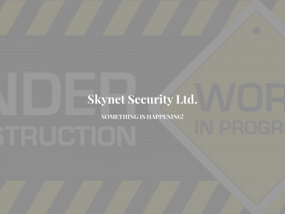 skynetsecurityltd.co.uk snapshot