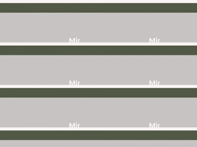 mindsetshifters.nl snapshot
