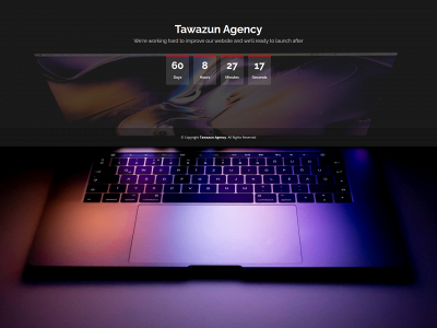 tawazunagency.com snapshot