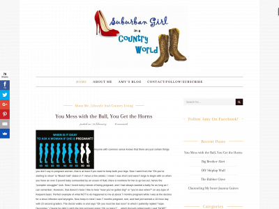 amydunbarblog.com snapshot