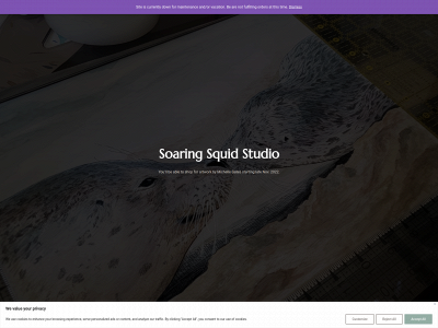 soaringsquid.com snapshot
