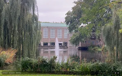 pauseandplay.nl snapshot