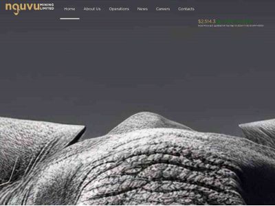 nguvumining.com snapshot