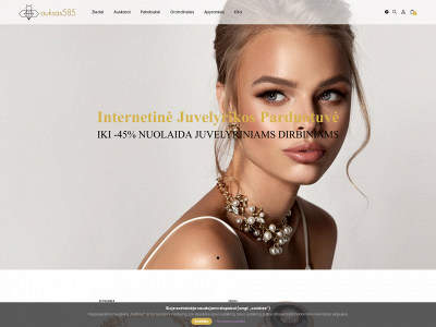 auksas585.lt snapshot