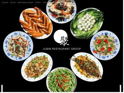 jubinsarpi.it snapshot