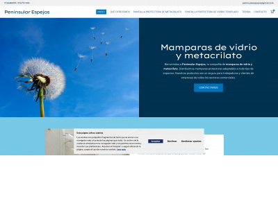 peninsularespejos.com snapshot