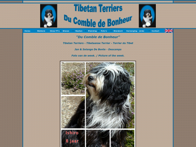 tibetanterrier.be snapshot