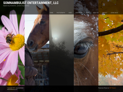 somnambulistentertainment.com snapshot
