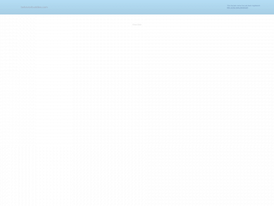 behaviorbuddies.com snapshot