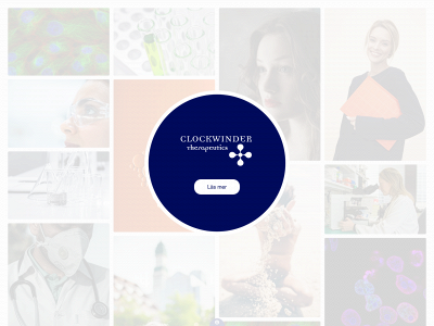 cwinder.se snapshot