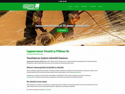 timanttijapiikkaus.fi snapshot
