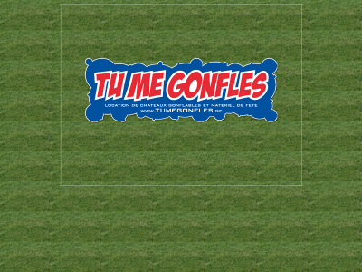 tumegonfles.be snapshot