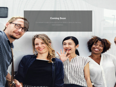 lonetigermarketing.com snapshot