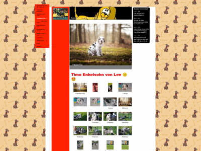 schmussidogs.lu snapshot
