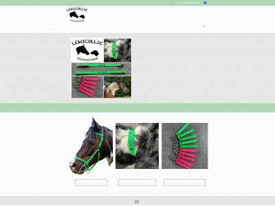 lewicollie.de snapshot