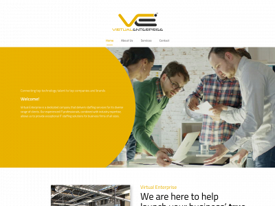 virtualentllc.com snapshot
