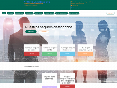 amstumejorseguro.es snapshot