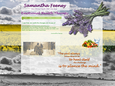 emotionalhealththerapy.co.uk snapshot