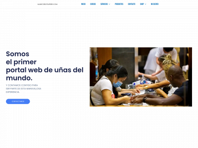 manicuristasperu.com snapshot