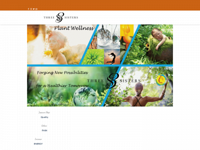 3sistersbotanicals.com snapshot