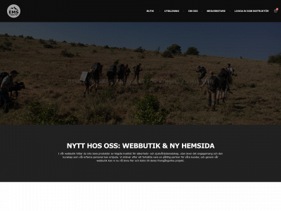 emsweden.com snapshot