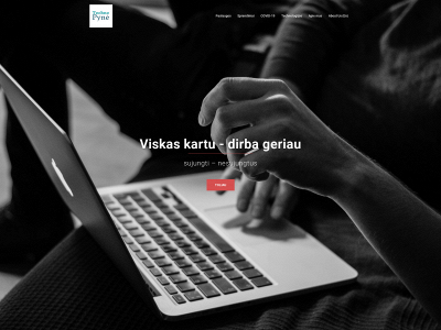 technopyne.lt snapshot