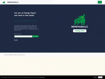 renewabullz.com snapshot