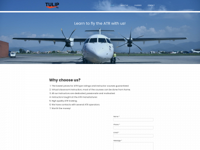 tulipfly.com snapshot