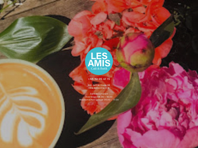 lesamis.dk snapshot