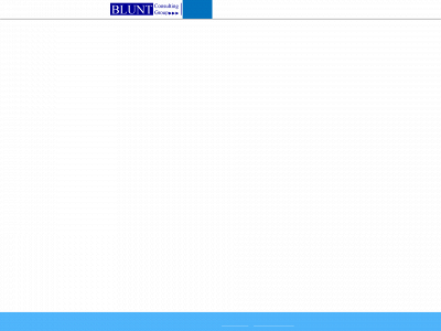 bluntgroup.com snapshot