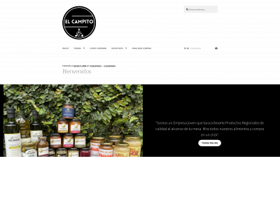 elcampitook.com snapshot