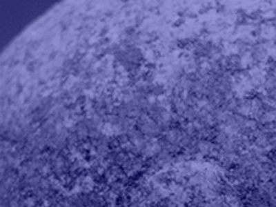 station61.com snapshot