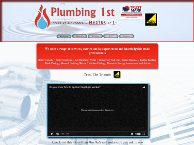 plumbing1st.com snapshot