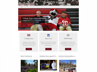 riponmedia.com snapshot