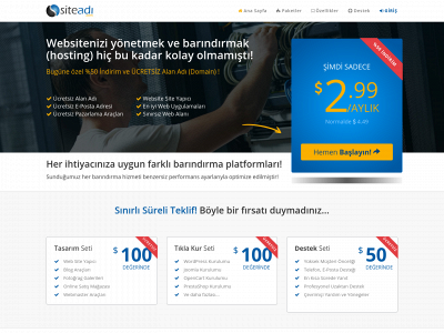 siteadi.com snapshot
