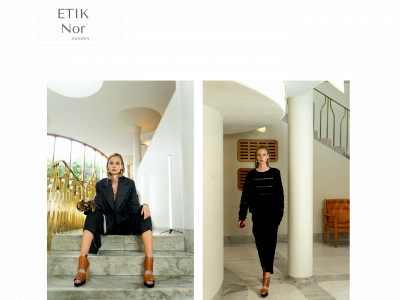 etiknor.com snapshot
