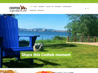 cedtek.com snapshot