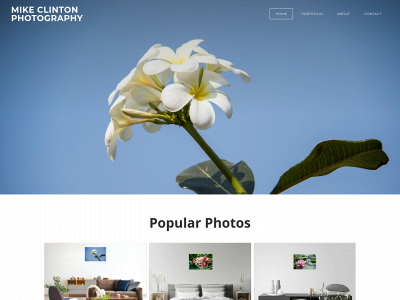 mclintonphotography.weebly.com snapshot