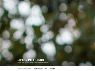 lifeinpittsburg.com snapshot